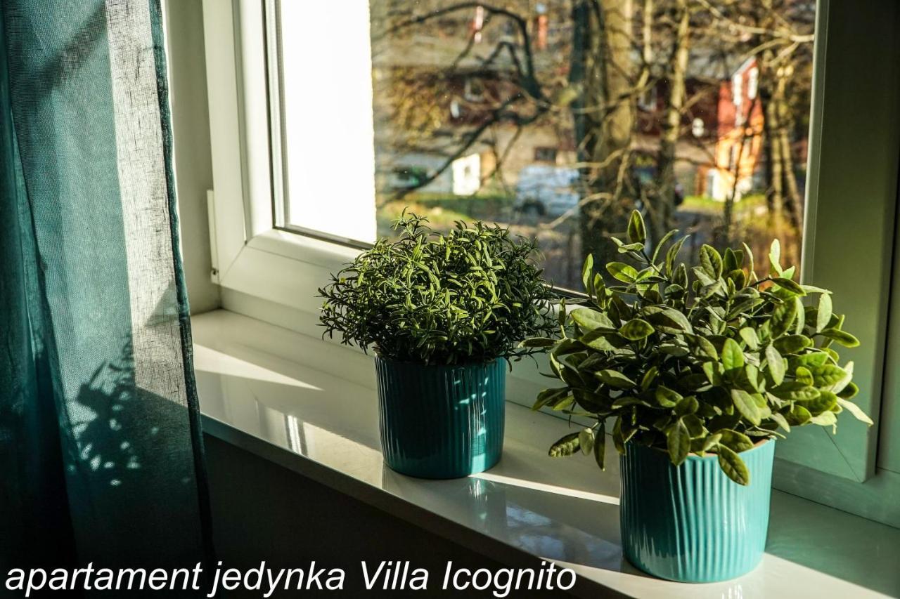 Apartament Jedynka Villa Incognito Szklarska Poręba Exterior foto